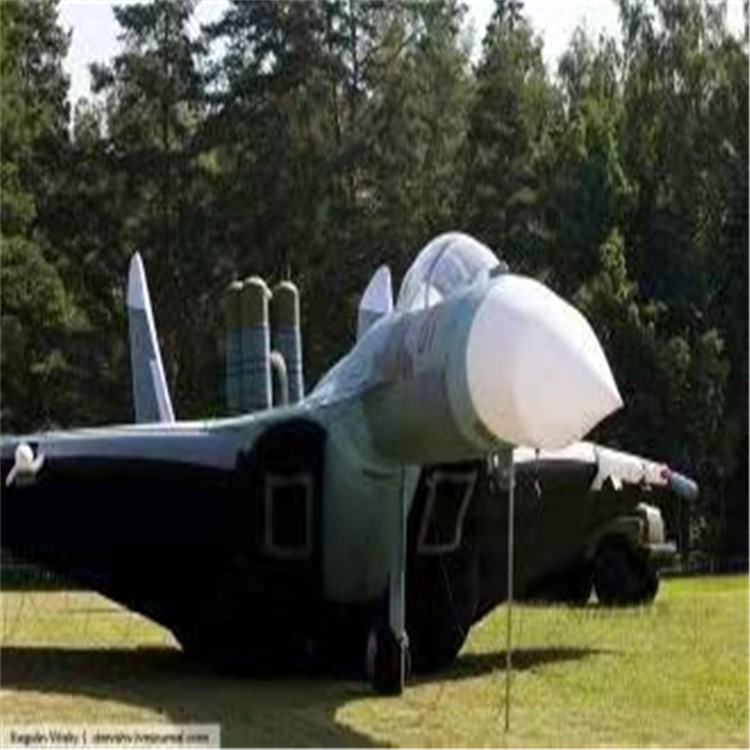 北海充气模型飞机制造商家